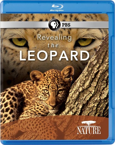 Тайная жизнь леопарда